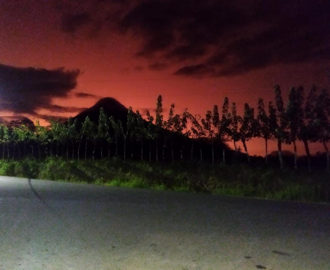 Alinas House Apartment La Fortuna ภายนอก รูปภาพ
