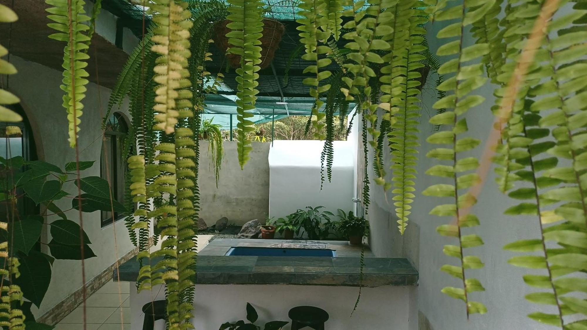 Alinas House Apartment La Fortuna ภายนอก รูปภาพ